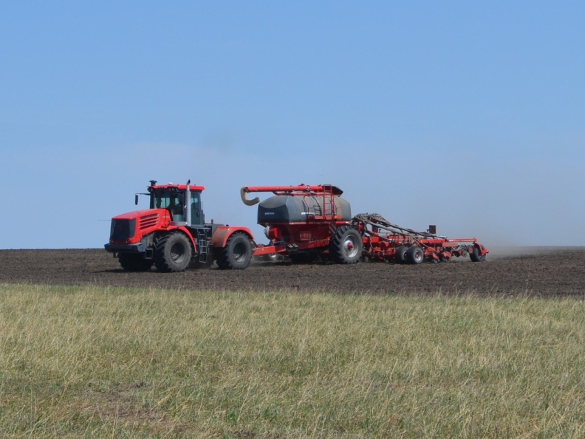 ​Хозяйства десяти муниципальных образований Забайкалья завершили сев пшеницы